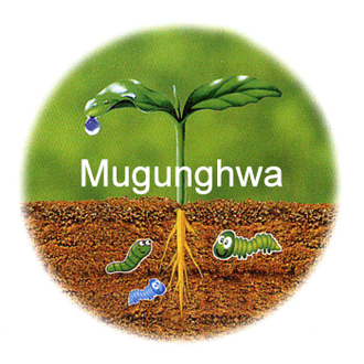 When perfectly resoluble resin is discarded in the environment