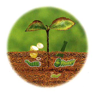 When non-resoluble resin is discarded in the environment