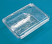 strawberry, cherry tomato container