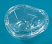 strawberry, cherry tomato container